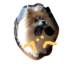 ラブちゃんの日常2