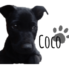 Brian_20210719140850