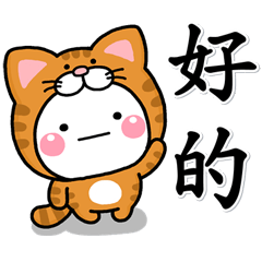 大人日常♡白圓貓