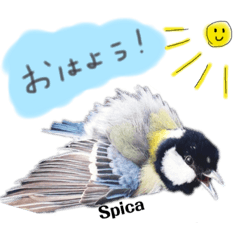 ムギちゅんのお友達①