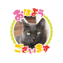 ココちゃんで挨拶❤️