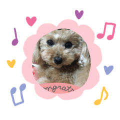 かわいいひめちゃんスタンプ