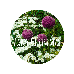 クールなフラワークリスマススタンプ