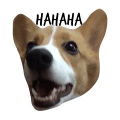 ぴのとお友達のスタンプ