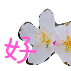 Wendy_20220601110228