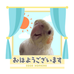 オカメちゃんズ