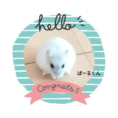 日常トーク☆使えるハムスタースタンプ