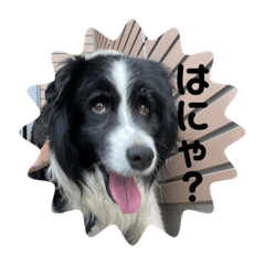 ムックの日常スタンプ