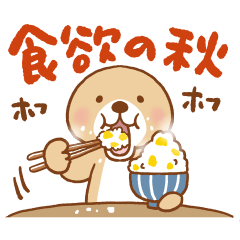 突撃！ラッコさん 秋編2