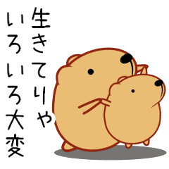 きゃぴばら【名言】（再販）