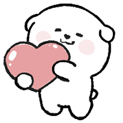 White and fat bichon puppy