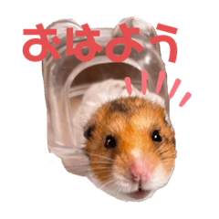 ソウゴのスタンプ