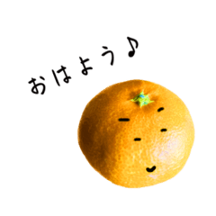 みかんのごあいさつ