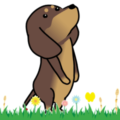 激しく尻尾をふるイヌ【動き↑↑↑】