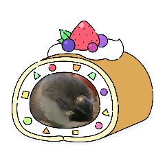 文鳥あずきの日常