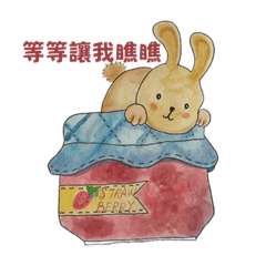 Aurora_20230710171926