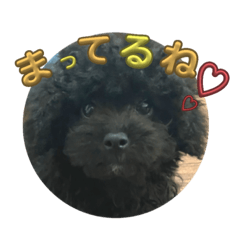 サニー君のお家