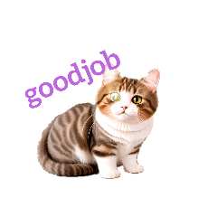 マンチカンmanchikan1