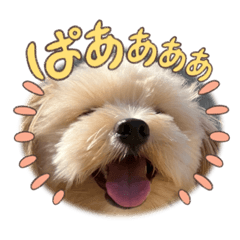 きなこスタンプ　Part2