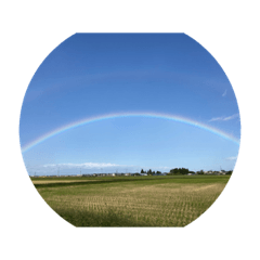 テルスケと景色