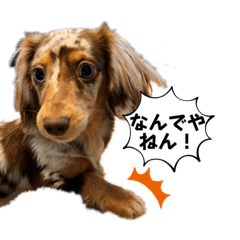 アロハの日々使えるスタンプ