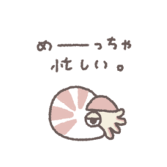 ちょっとあたまのわるそうなオウムガイ #1