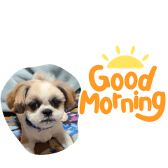 わんにゃんスタンプ(R)