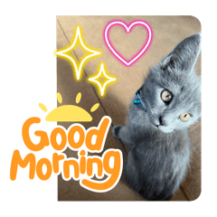 ぼく、ひよりくん