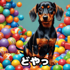 ダックスフンドの気分