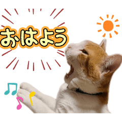 中田もんじろー