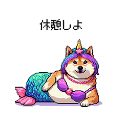 人魚なマーメイド太っちょ柴犬