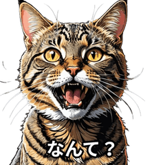 日常猫のスタンプ