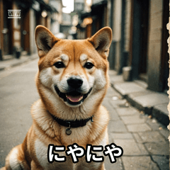 気まぐれワンコの日常