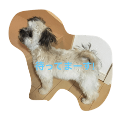 空くんのスタンプ