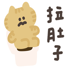 orange cat, Doupijun9