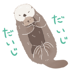 ZOOm in Animals ラッコ