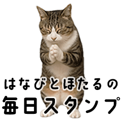 はなびとほたるの毎日スタンプ