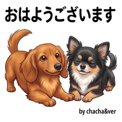 Chacha & Ver Everyday Polite Stickers
