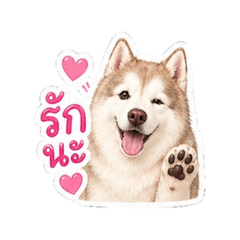 Siberian Husky v.3 Leo in love