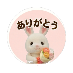 もちもちrabbitの気持ち便
