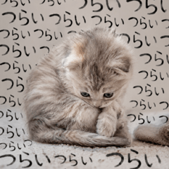とびだす 鬱にゃんこ うつ猫 ねこ メンヘラ