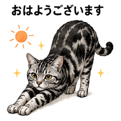 にゃん太オリジナルスタンプ Vol01