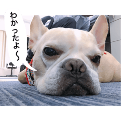 ゴエモンと愉快な仲間達。2