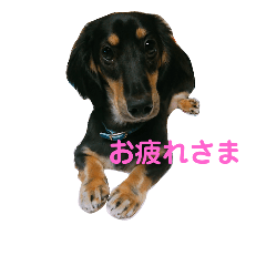 マロ好きのためのスタンプ！