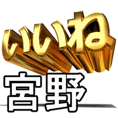 動く!金文字【宮野】