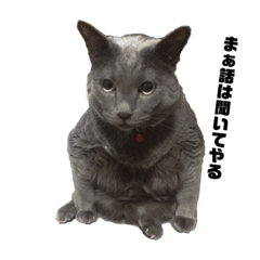 表情豊かな猫・てっちゃんスタンプ