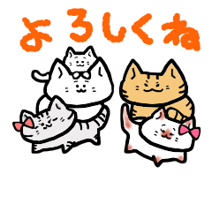 顔デカネコズ２