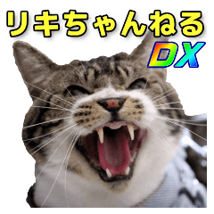 リキちゃんねる実写スタンプ②令和 DX Ver.