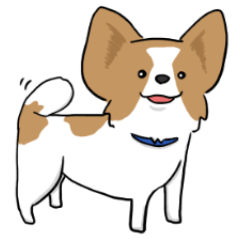 犬語ずかん【パピヨン番外編】