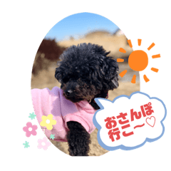 黒ぷーメイとの日常